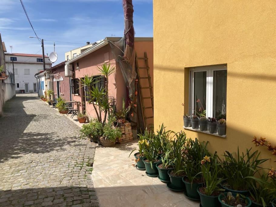 فيلا Casa Nova Apúlia المظهر الخارجي الصورة
